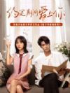 陆少的暖婚新妻