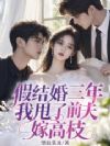 结婚三年仍完璧,二嫁豪门他疯了